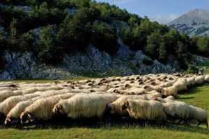 La gastronomía vasco-navarra