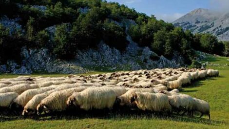 La gastronomía vasco-navarra