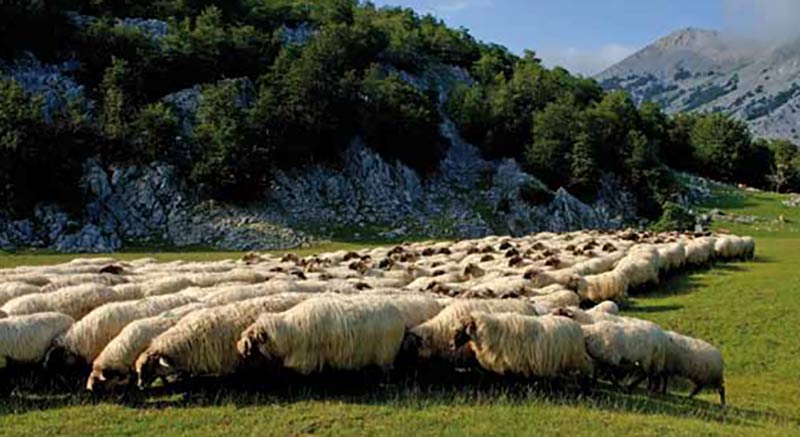 La gastronomía vasco-navarra