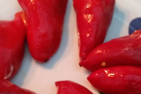 Pimientos del piquillo bacalao