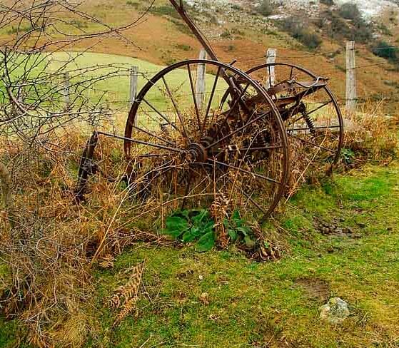 Tendencias gastronómicas en el País Vasco y Navarra